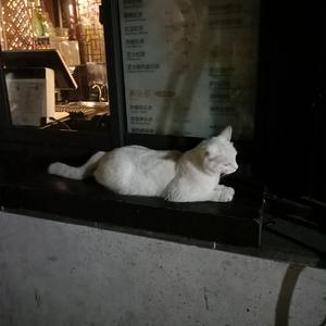 口爆吞精国产对白
